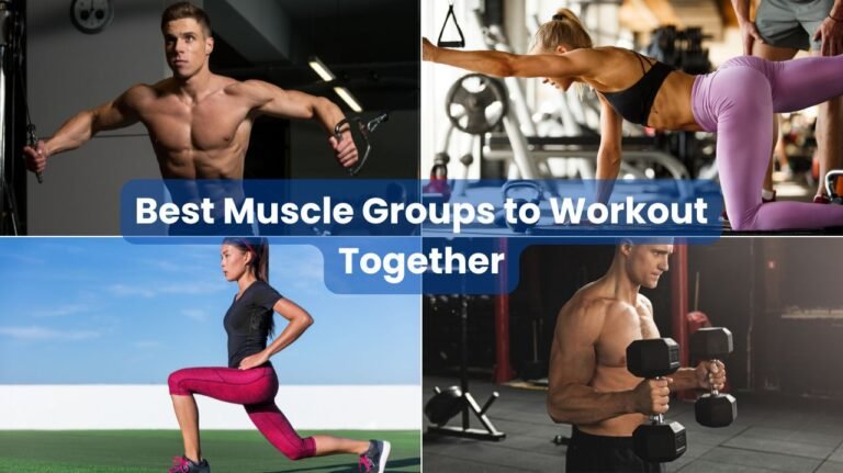 Best Muscle Groups to Workout Together