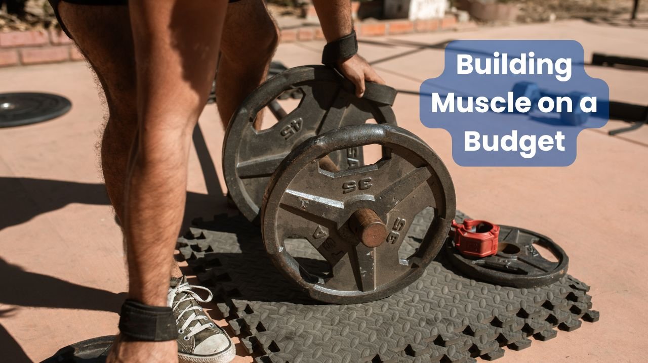 Building Muscle on a Budget