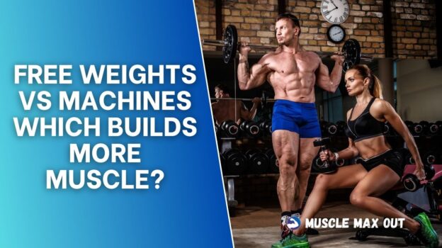Free Weights vs Machines Which Builds More Muscle