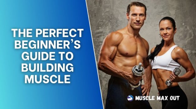 The Perfect Beginner's Guide to Building Muscle with Diet and Exercise
