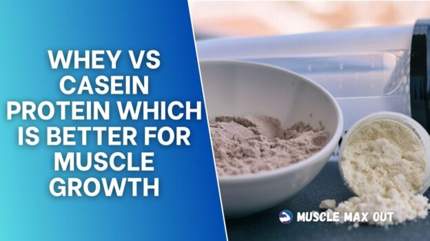 Whey vs Casein Protein Which is Better for Muscle Growth